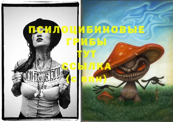 прущая мука Карталы