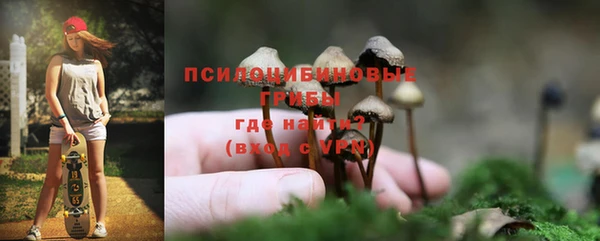 прущая мука Карталы