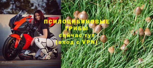 прущая мука Карталы