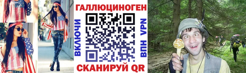 Купить где  Дорогобуж  Псилоцибиновые грибы GOLDEN TEACHER 